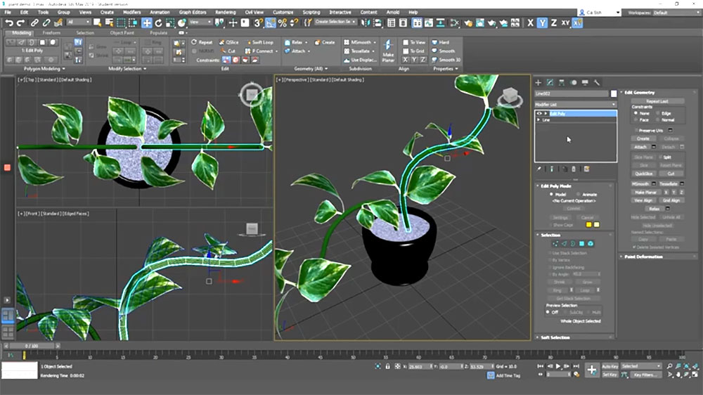 organic plant model