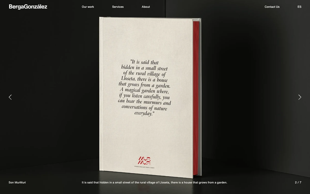 Screenshot of the BergaGonzález website homepage
