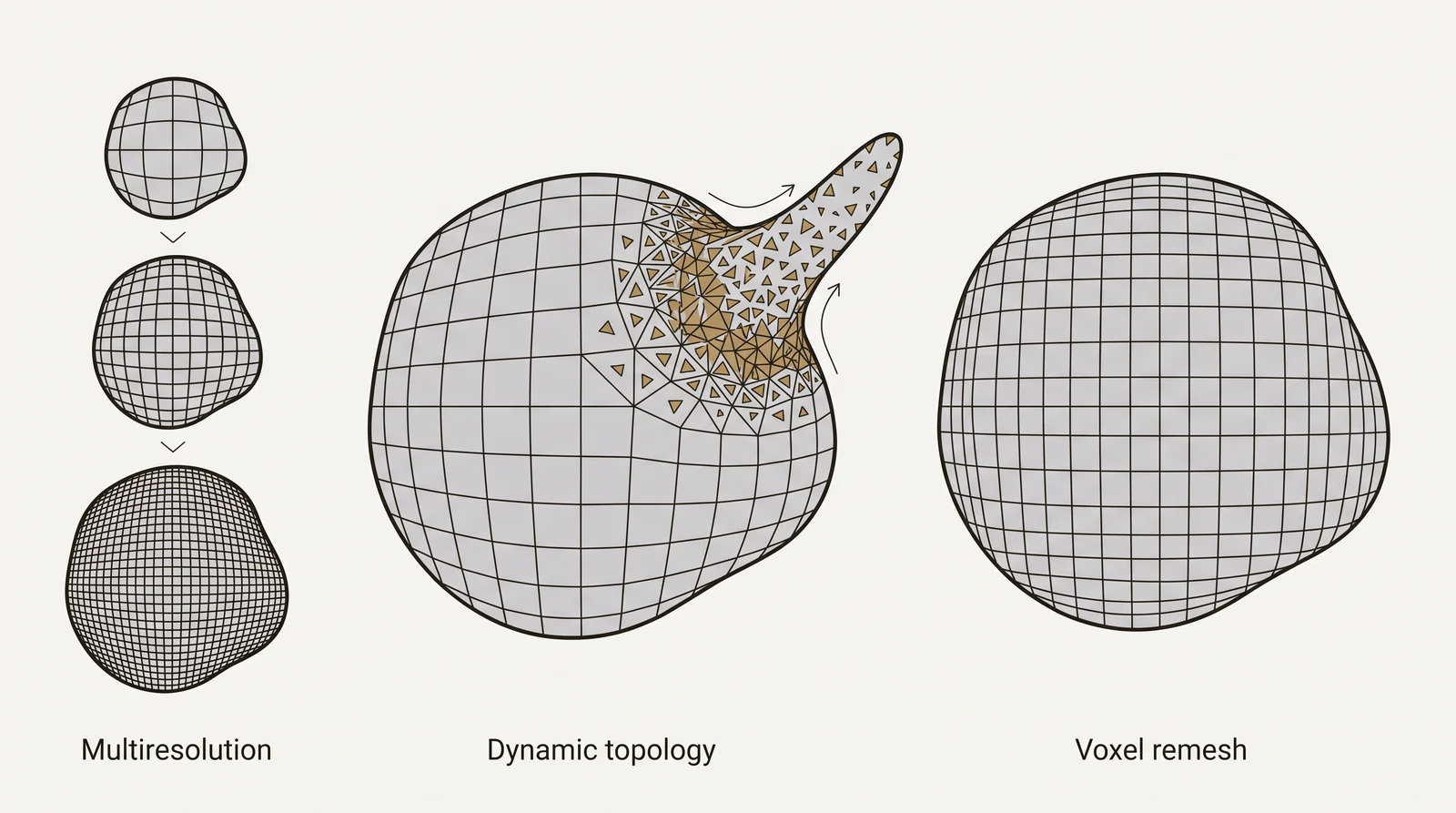 Diagram comparing 3 ways sculpting software adds mesh resolution: multiresolution levels, dynamic topology under the brush and an even voxel remesh