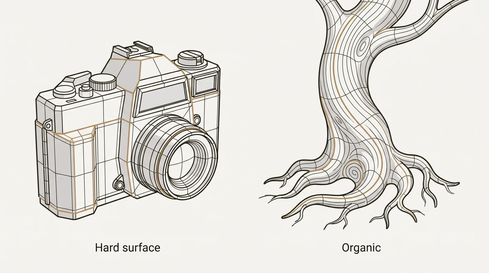 Diagram comparing a hard surface model of a boxy camera body with sharp bevelled edges and an organic model of a smooth tree trunk with flowing edge loops, both shown as wireframes